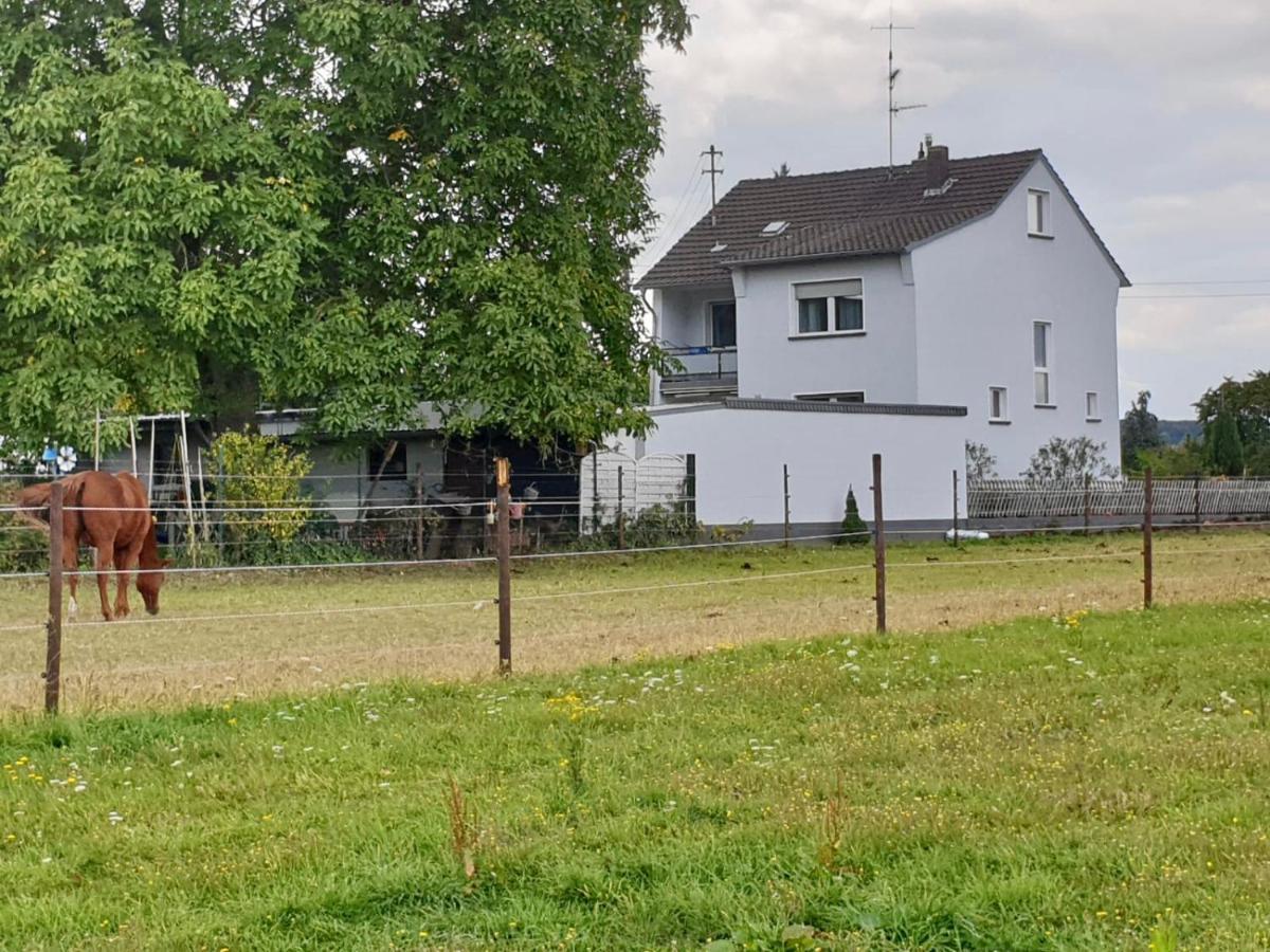 Haus Im Gruenen Villa Bornheim  Exterior photo